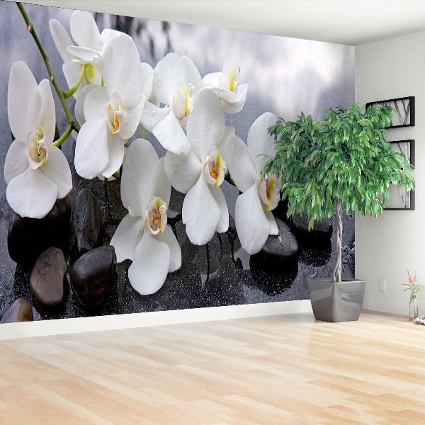 Wallpaper Orchid stones