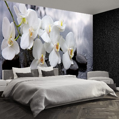 Wallpaper Orchid stones