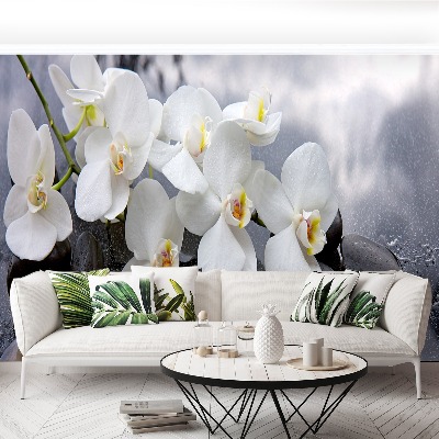 Wallpaper Orchid stones