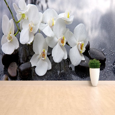 Wallpaper Orchid stones