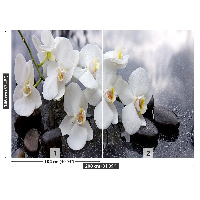 Wallpaper Orchid stones