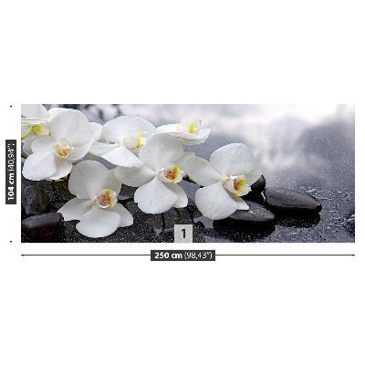 Wallpaper Orchid stones