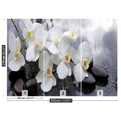 Wallpaper Orchid stones