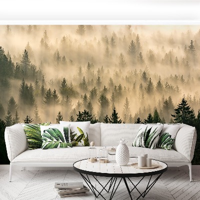 Wallpaper Misty forest
