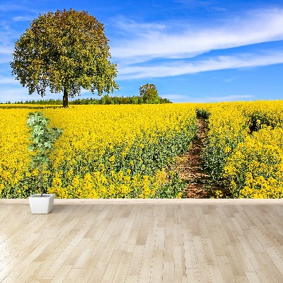 Wallpaper Yellow flowers