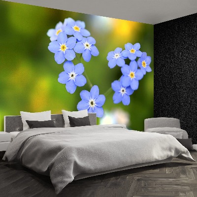 Wallpaper Forget-me-nots heart