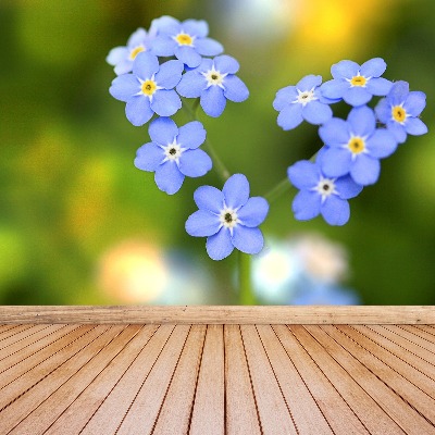 Wallpaper Forget-me-nots heart