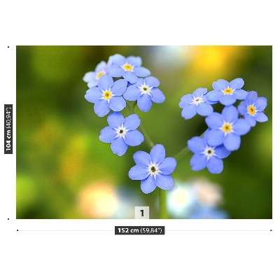 Wallpaper Forget-me-nots heart