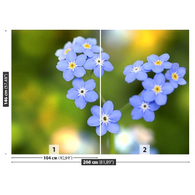 Wallpaper Forget-me-nots heart