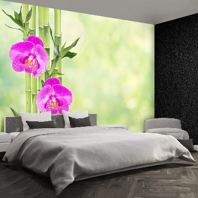 Wallpaper Orchid and bamboo