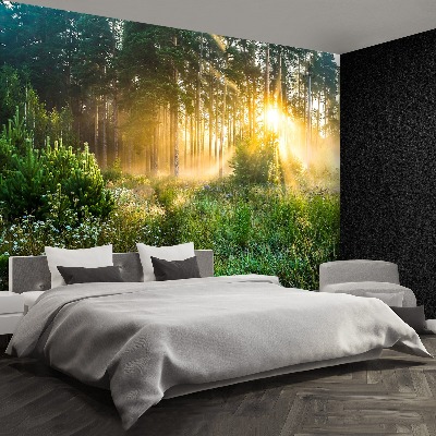 Wallpaper Forest