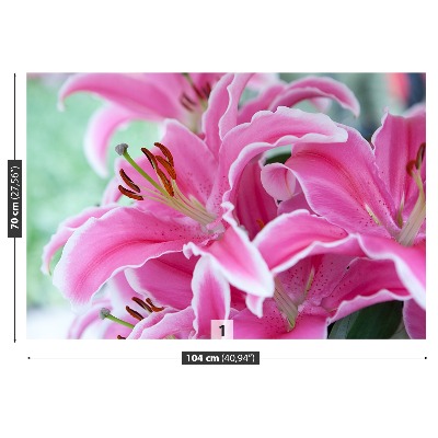 Wallpaper Pink lily