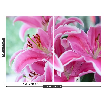 Wallpaper Pink lily