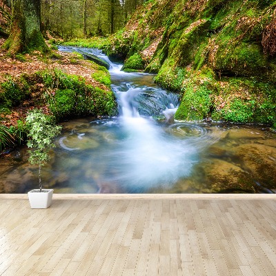 Wallpaper Forest stream