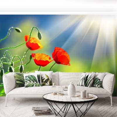 Wallpaper Sun and poppies