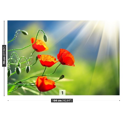 Wallpaper Sun and poppies