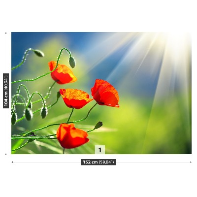 Wallpaper Sun and poppies