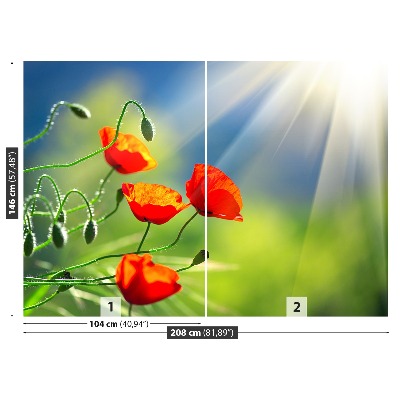 Wallpaper Sun and poppies