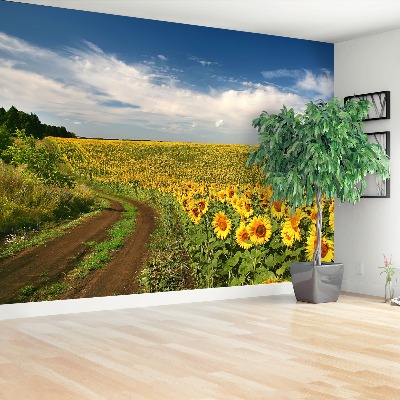 Wallpaper Field of sunflowers