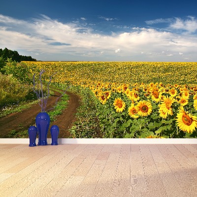 Wallpaper Field of sunflowers