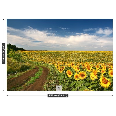 Wallpaper Field of sunflowers