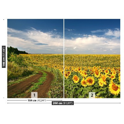 Wallpaper Field of sunflowers