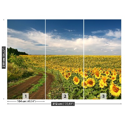 Wallpaper Field of sunflowers