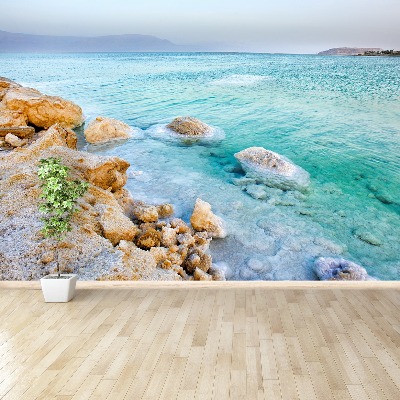 Wallpaper Dead sea