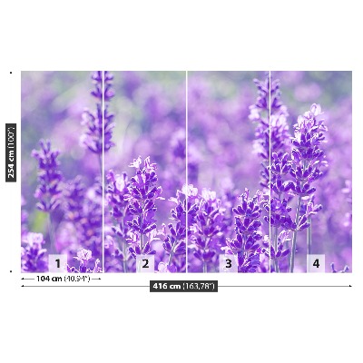 Wallpaper Purple lavender