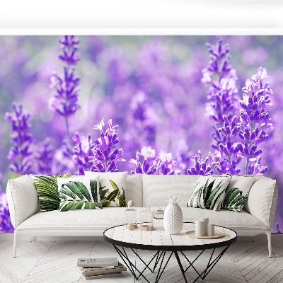 Wallpaper Purple lavender