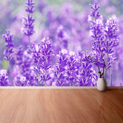 Wallpaper Purple lavender