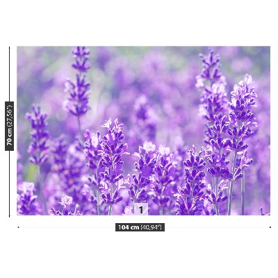 Wallpaper Purple lavender