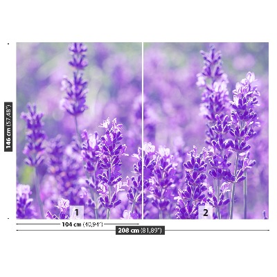 Wallpaper Purple lavender