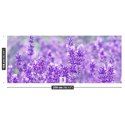 Wallpaper Purple lavender