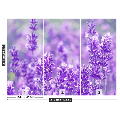 Wallpaper Purple lavender