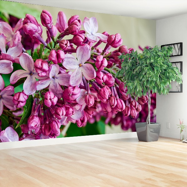 Wallpaper Pink lilies