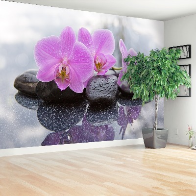 Wallpaper Orchid stones