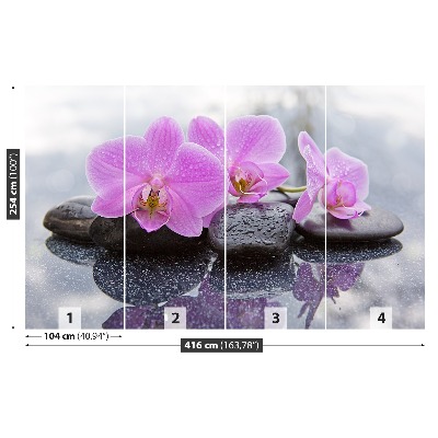 Wallpaper Orchid stones