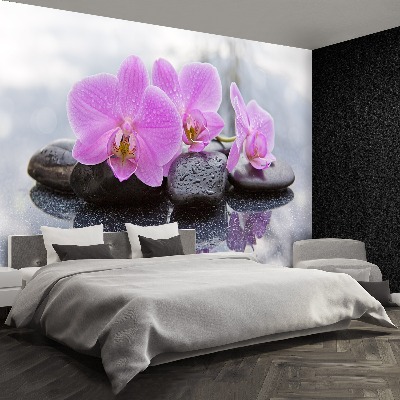 Wallpaper Orchid stones