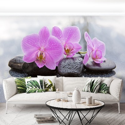 Wallpaper Orchid stones