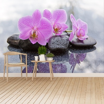 Wallpaper Orchid stones