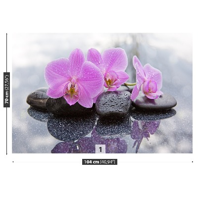 Wallpaper Orchid stones