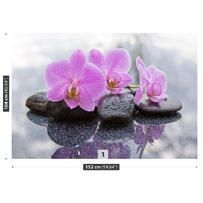 Wallpaper Orchid stones