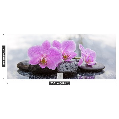 Wallpaper Orchid stones