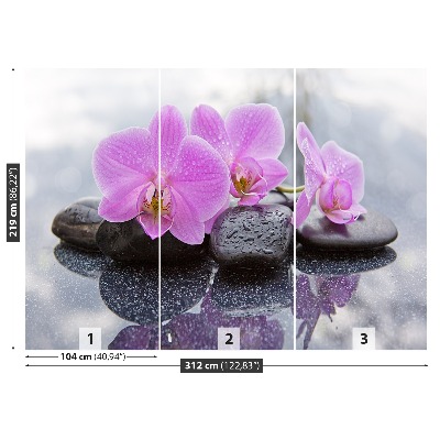 Wallpaper Orchid stones