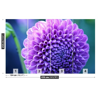 Wallpaper Purple dahlia