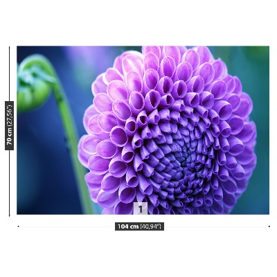 Wallpaper Purple dahlia