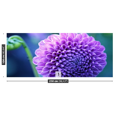 Wallpaper Purple dahlia