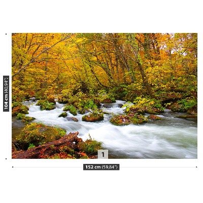 Wallpaper River in japan