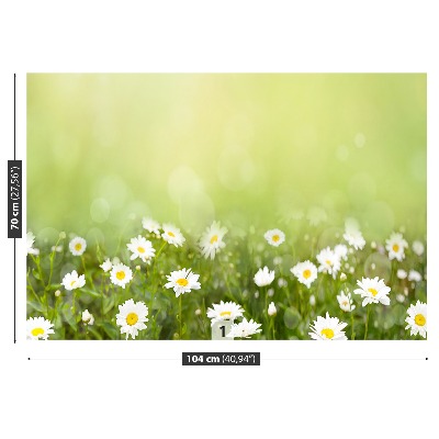 Wallpaper Daisies